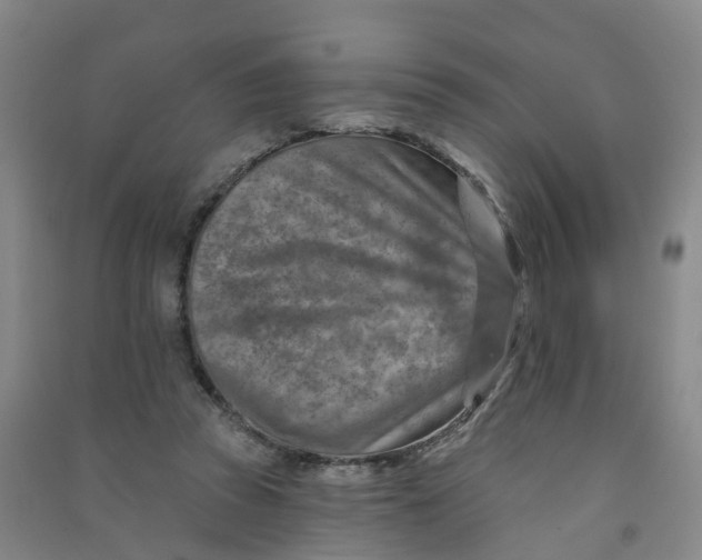 X0000090930353200708201833