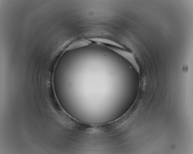 X0000090930356200708201833