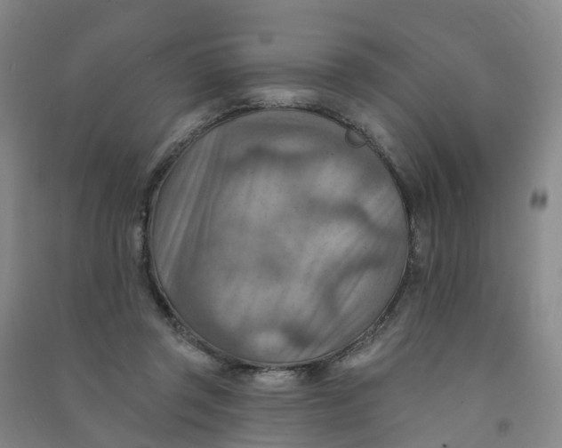 X0000090930357200708201833