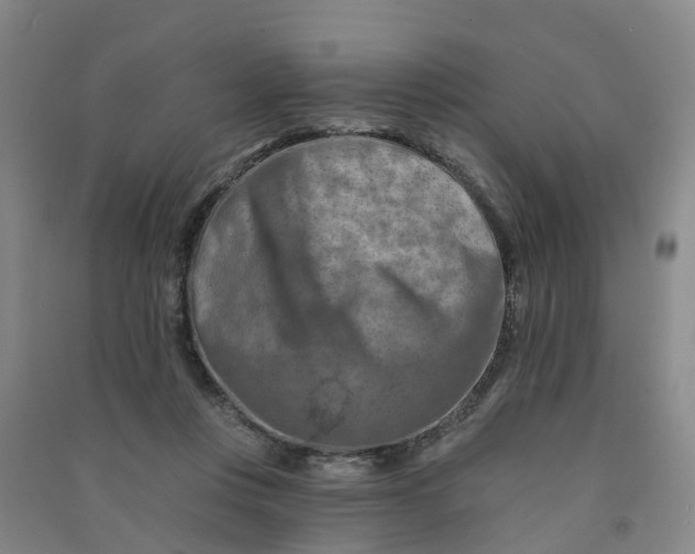 X0000090930359200708201833