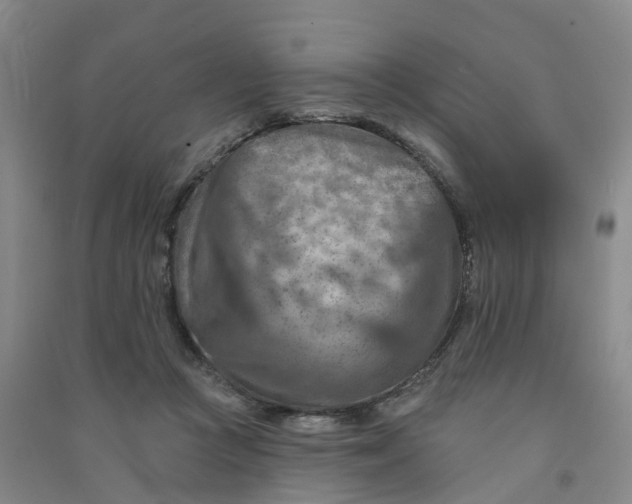 X0000090930361200708201833