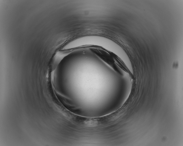 X0000090930362200708201833