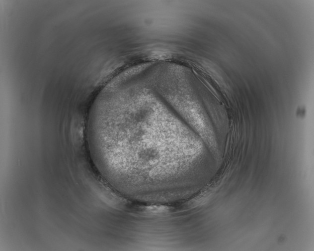 X0000090930363200708201833