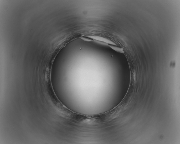 X0000090930364200708201833