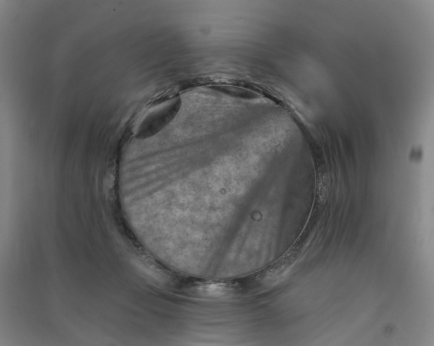 X0000090930365200708201833