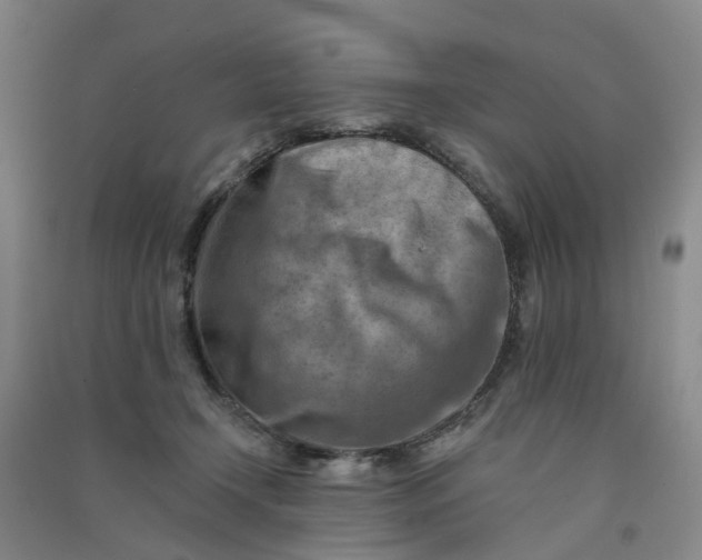 X0000090930366200708201833