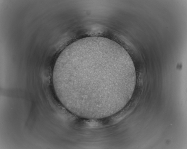 X0000090930370200708201834