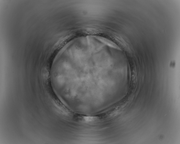 X0000090930371200708201834