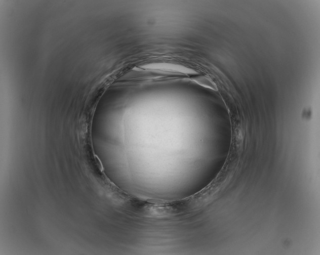 X0000090930372200708201834