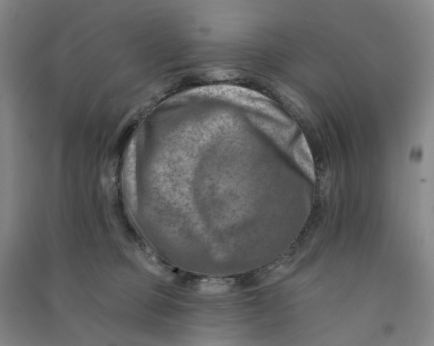 X0000090930373200708201834