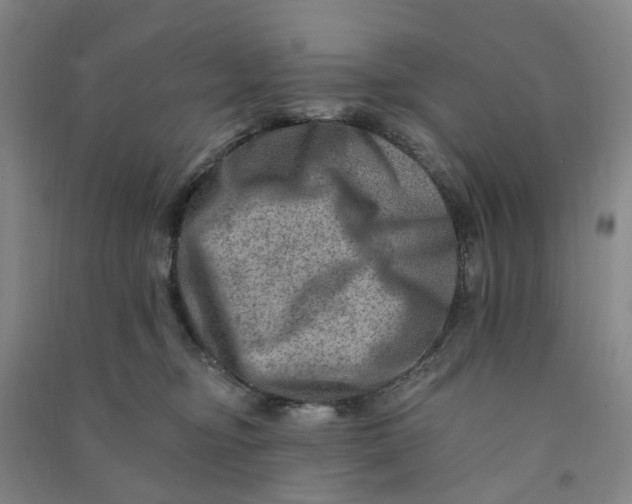 X0000090930374200708201834