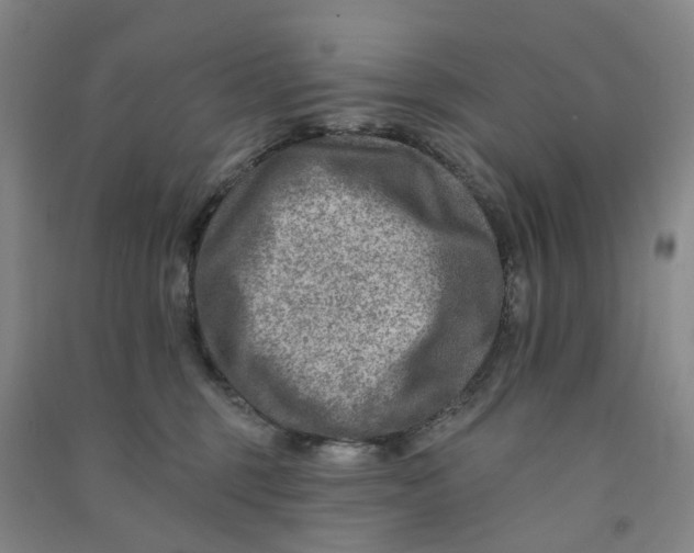 X0000090930375200708201834