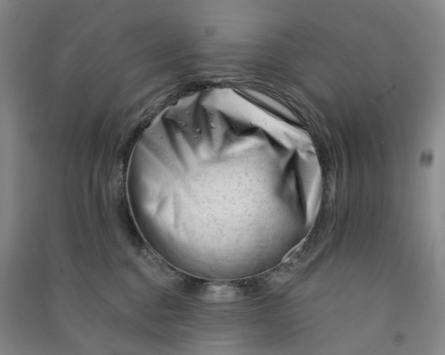 X0000090930376200708201834