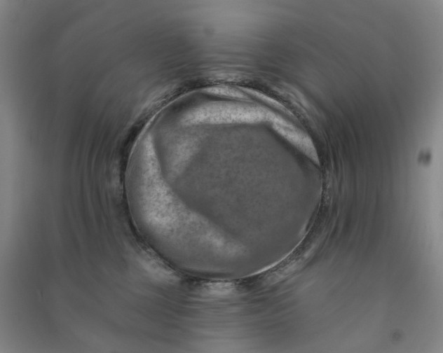 X0000090930377200708201834