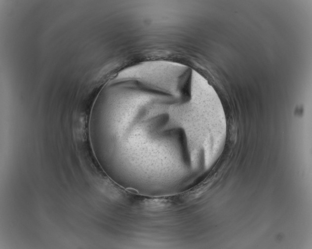 X0000090930378200708201834