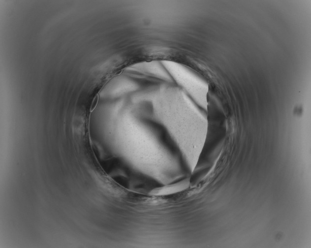 X0000090930379200708201834