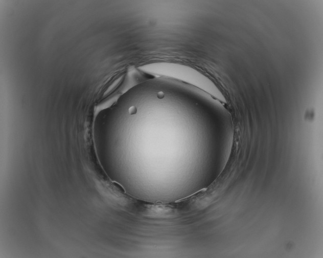 X0000090930380200708201834