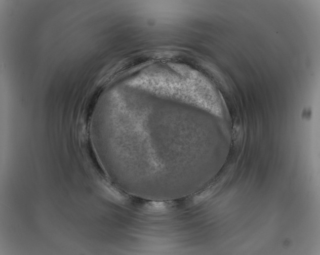 X0000090930381200708201834