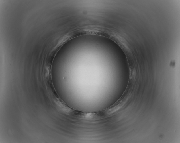 X0000090930382200708201834