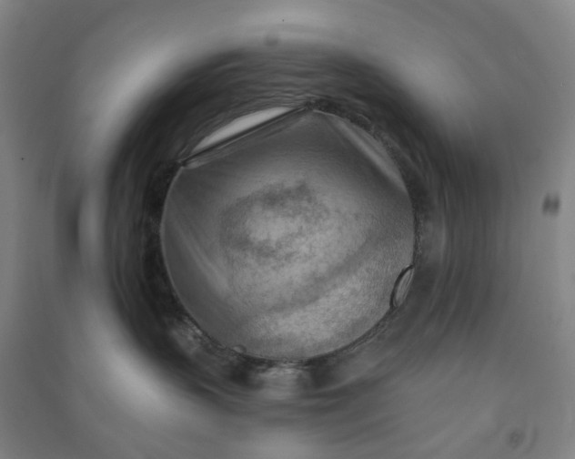 X0000090930383200708201834