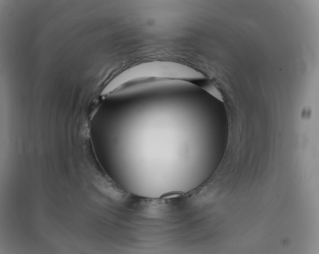 X0000090930384200708201834