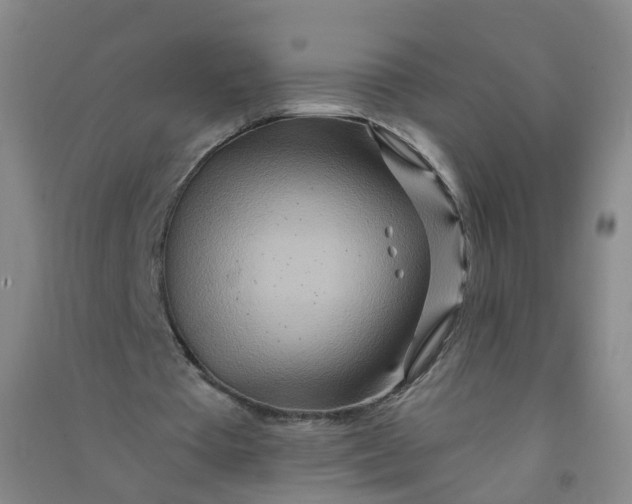 X0000090930385200708201833