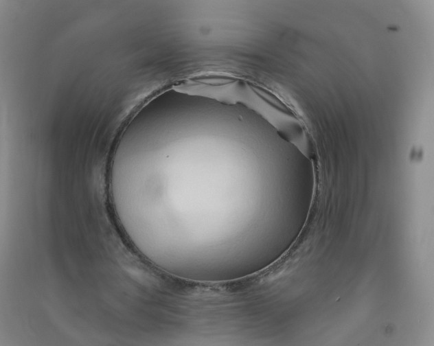 X0000090930386200708201833