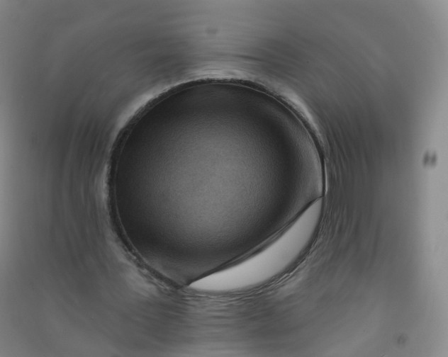 X0000090930387200708201833