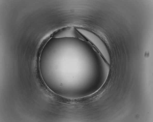 X0000090930388200708201833