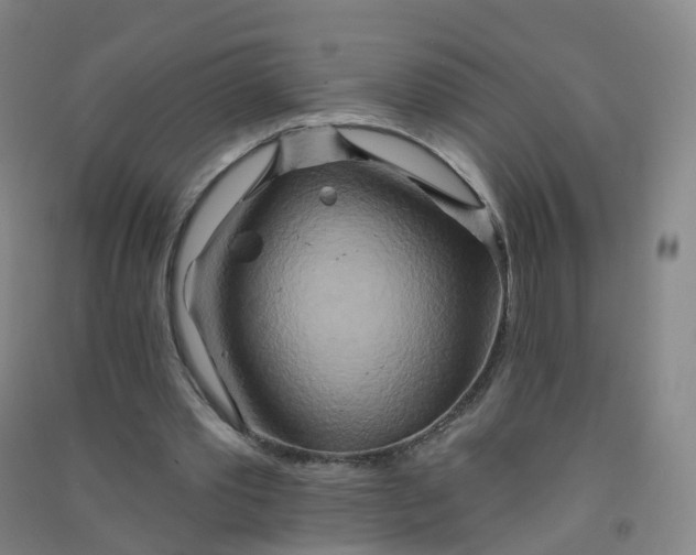 X0000090930389200708201833