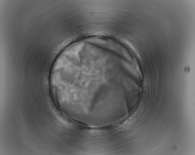 X0000090930394200708201833