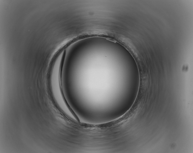 X0000090930395200708201833