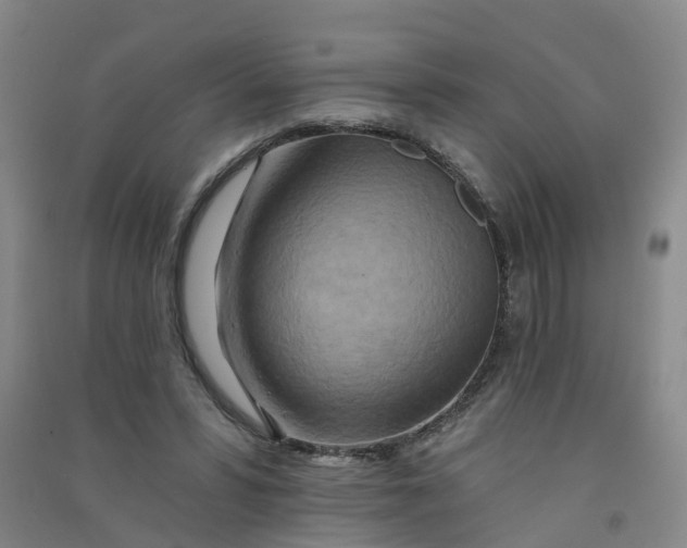 X0000090930399200708201833