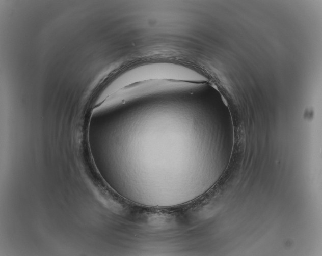 X0000090930400200708201833