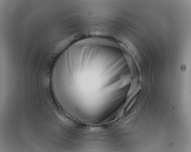 X0000090930401200708201833