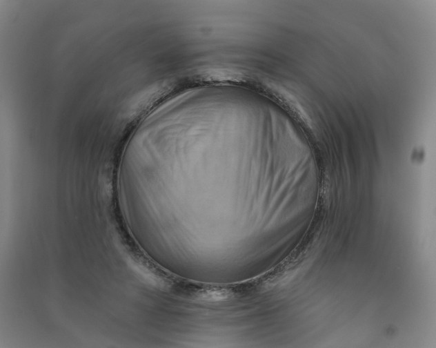 X0000090930402200708201833