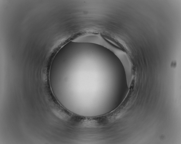 X0000090930403200708201833