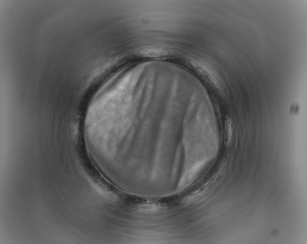 X0000090930404200708201833