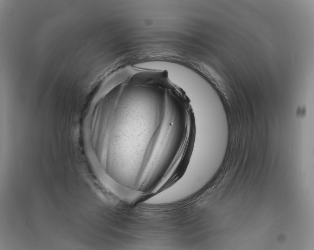 X0000090930405200708201833