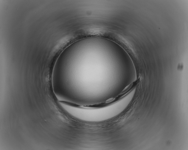 X0000090930407200708201833