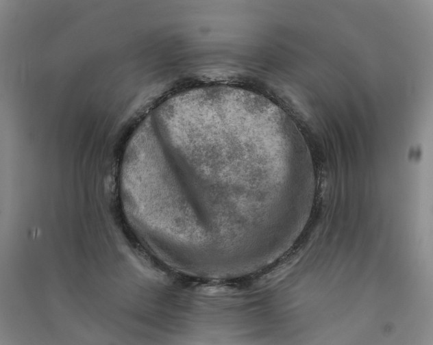 X0000090930408200708201833