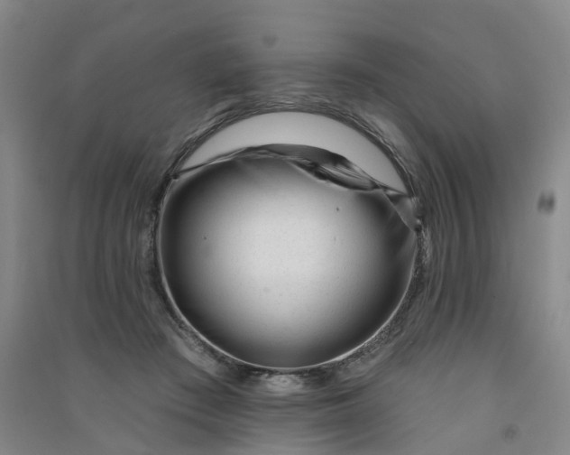 X0000090930409200708201833