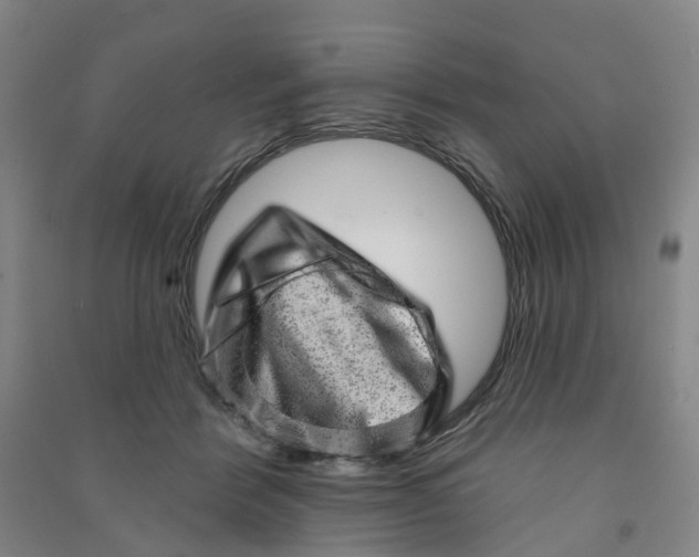 X0000090930412200708201833