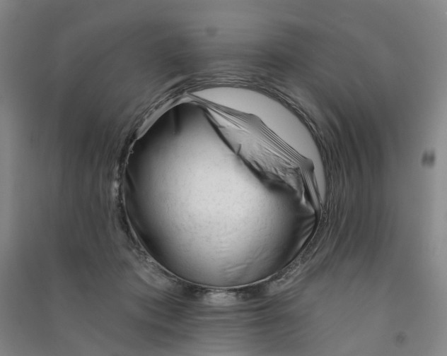 X0000090930413200708201833