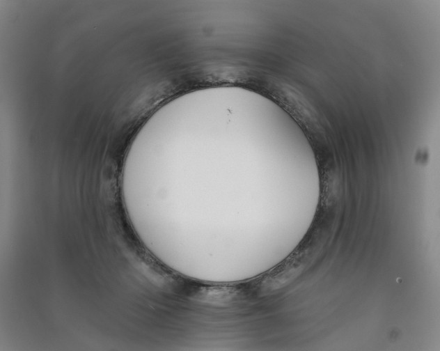 X0000090930414200708201833