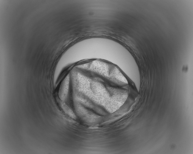 X0000090930415200708201833