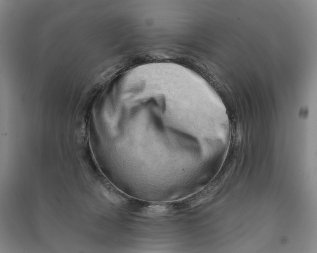 X0000090930418200708201833