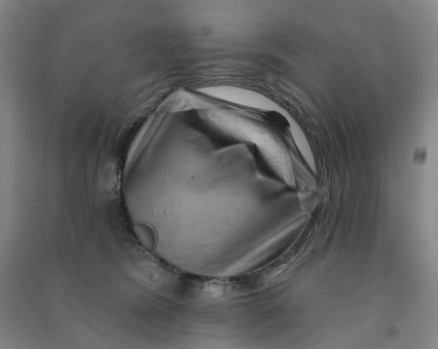 X0000090930420200708201833