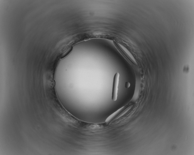 X0000090930421200708201833