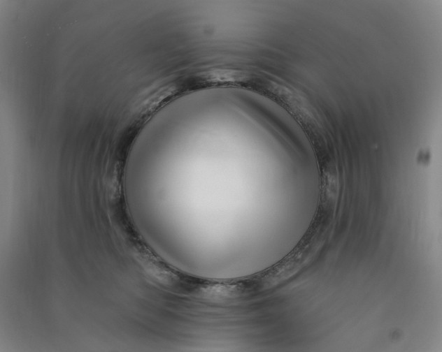 X0000090930422200708201833